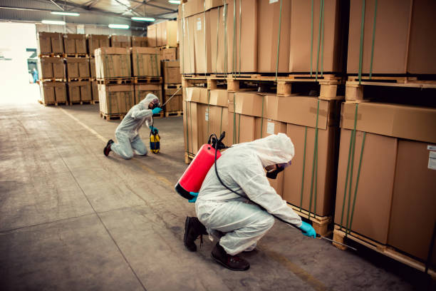 Professional Pest Control in Fort Myers Shores, FL