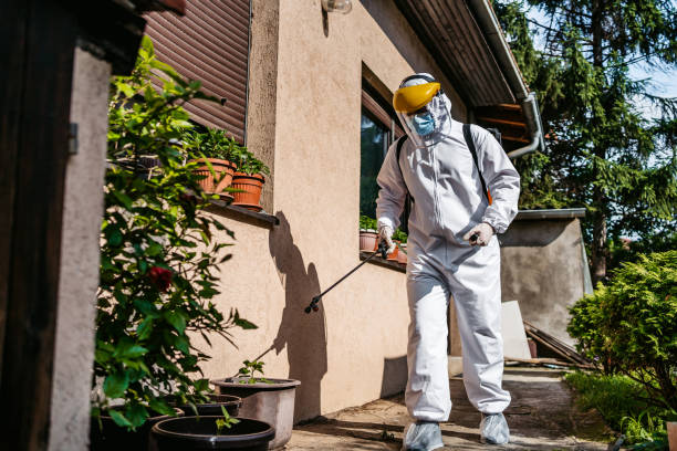 Best Pest Control Near Me in Fort Myers Shores, FL